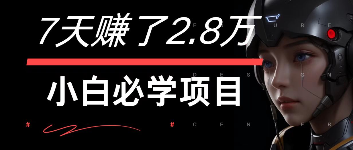 7天赚了2.8万!每单利润最少500+,轻松月入7万+小白有手就行-网创资源站