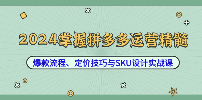2024掌握拼多多运营精髓:爆款流程、定价技巧与SKU设计实战课-网创资源站