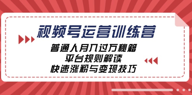 视频号运营训练营:普通人月入过万秘籍,平台规则解读,快速涨粉与变现-网创资源站