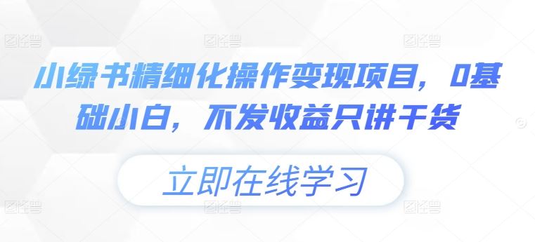 小绿书精细化操作变现项目,0基础小白,不发收益只讲干货-网创资源站