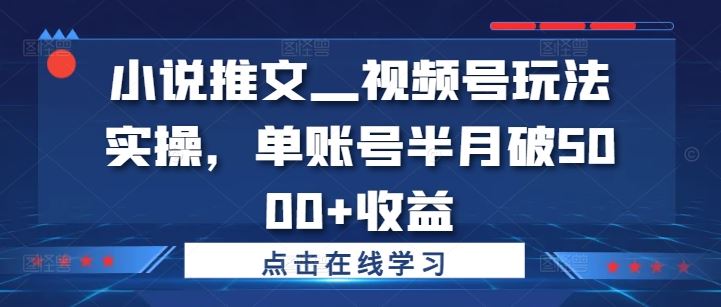 小说推文—视频号玩法实操,单账号半月破5000+收益-网创资源站
