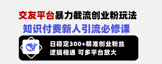 交友平台暴力截流创业粉玩法,知识付费新人引流必修课,日稳定300+精准创业粉丝,逻辑相通可多平台放大-网创资源站