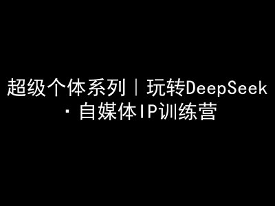 超级个体系列，玩转DeepSeek·自媒体IP训练营，deepseek教程-网创资源站