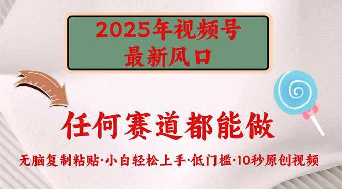 2025年视频号新风口，低门槛只需要无脑执行-网创资源站