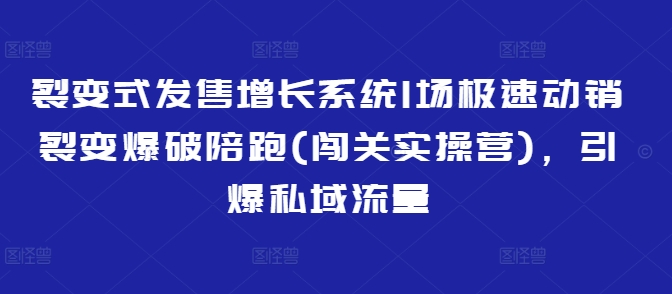 裂变式发售增长系统1场极速动销裂变爆破陪跑(闯关实操营),引爆私域流量-网创资源站