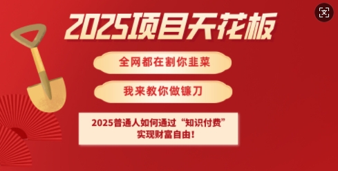 2025项目天花板普通人如何通过知识付费，实现财F自由【揭秘】-网创资源站