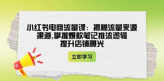 小红书电商流量课：揭秘流量来源渠道,掌握爆款笔记推流逻辑,提升店铺曝光-网创资源站
