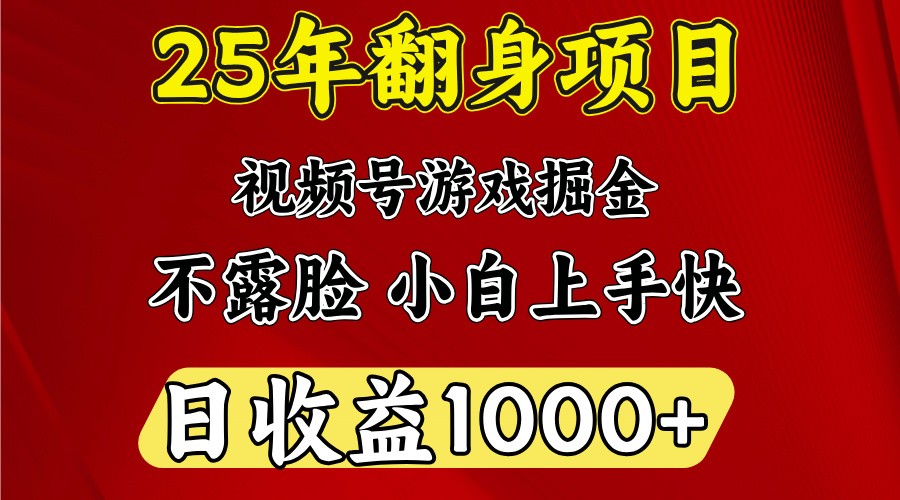 一天收益1000+ 25年开年落地好项目-网创资源站