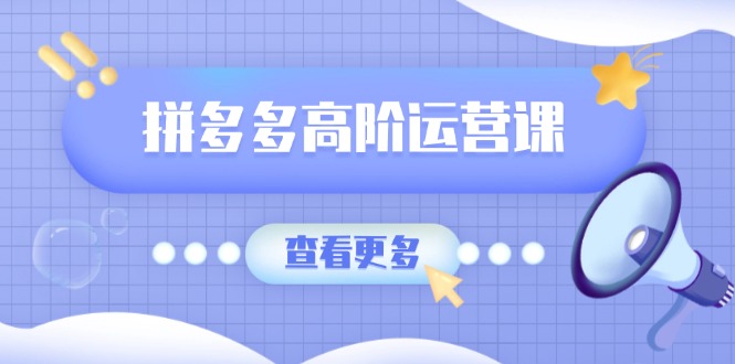 拼多多高阶运营课：极致群爆款玩法，轻付费无尽复制，打造单品爆款之路-网创资源站