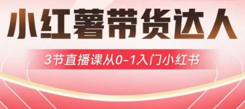 小红薯达人带货启航计划，3节直播课从0-1入门小红书-网创资源站