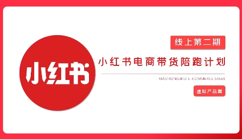 2025小红书虚拟电商实战课,从0到1打造无货源店铺,AI+爆款笔记轻松变现-网创资源站