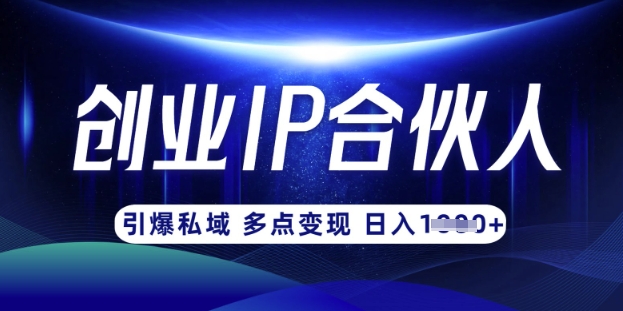 云帆·创业ip合伙人打造3.0,从0到1教你做网创,实现月入过W-网创资源站