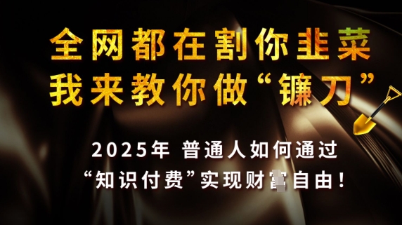 全网都在割你韭菜，我来教你做镰刀，2025普通人如何通过知识付费，实现财F自由【揭秘】-网创资源站