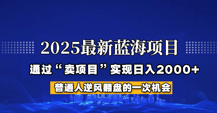 2025年蓝海项目,如何通过“网创项目”日入2000+-网创资源站