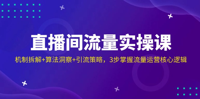 直播间流量实操课:机制拆解+算法洞察+引流策略,3步掌握流量运营核心逻辑-网创资源站