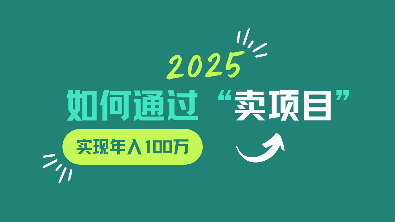 2025年如何通过“卖项目”实现年入100w-网创资源站