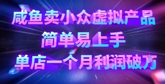 咸鱼卖小众虚拟产品，简单易上手，单店一个月利润破W-网创资源站