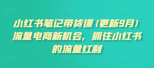 小红书笔记带货课(更新25年3月)流量电商新机会,抓住小红书的流量红利-网创资源站