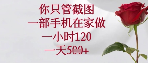 你只管截图，一部手机在家操作，一小时120.一天5张【揭秘】-网创资源站
