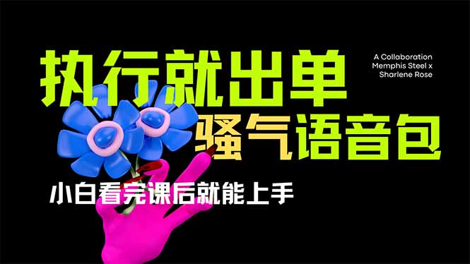 爆火全网的开车导航骚气语音包,只要执行就出单，小白看完课程就能实操…-网创资源站