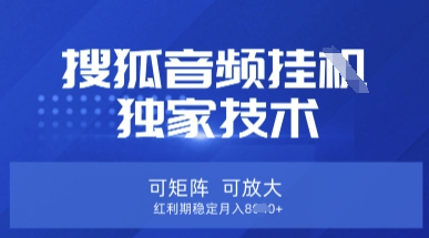 【搜狐音频挂G】独家技术，可矩阵可放大，红利期稳定月入8k【揭秘】-网创资源站