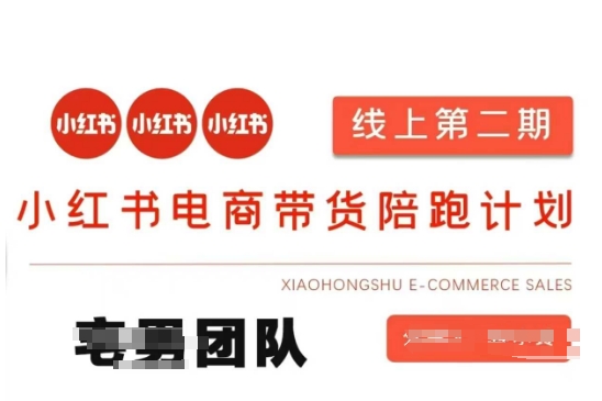小红书电商带货课2期，月利润20个的小红书电商的有货源，无货源，虚拟产品，付费投流等整套玩法-网创资源站