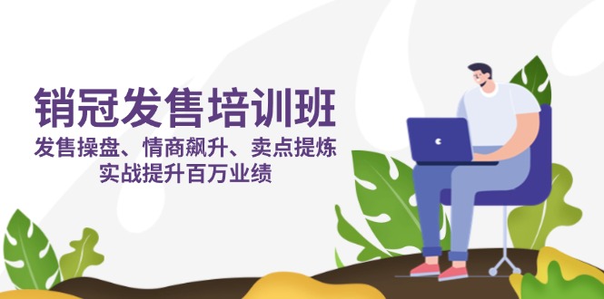 销冠 发售培训班:发售 操盘+情商 飙升+卖点 提炼,实战提升百万业绩-网创资源站