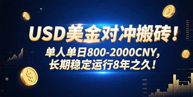 USD美金对冲搬砖!单人单日800-2000CNY,长期稳定运行8年之久!-网创资源站