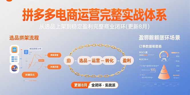 拼多多电商运营完整实战体系,从选品上架到稳定盈利完整商业闭环(更新8月-网创资源站