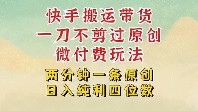 快手黑科技搬运带货,一刀不剪过原创,微付费投流玩法,轻松日入四位数…-网创资源站