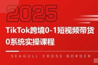 TikTok跨境0-1短视频带货,系统拆解TikTok跨境带货全链路,实现跨境可持续盈利-网创资源站