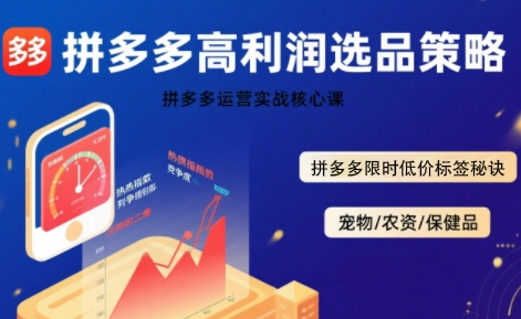 拼多多选品暴利技术实战课,拼多多高利润选品策略,拼多多限时低价标签秘诀-网创资源站
