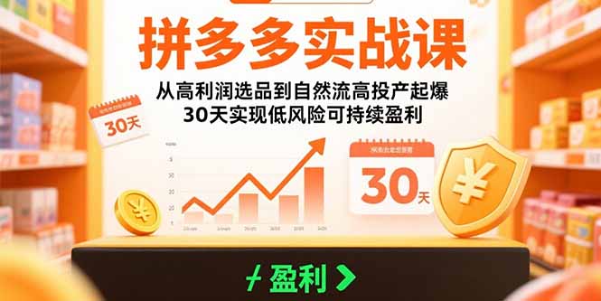 拼多多实战课:从高利润选品到自然流高投产起爆 30天实现低风险可持续盈利-网创资源站