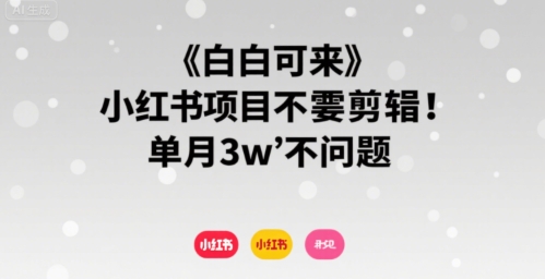 小白可来 小红书项目不需要剪辑 单月3w不是问题-网创资源站