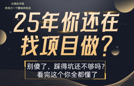 25年,你还在疯狂的找项目吗?别傻了,看完这个你都懂了【揭秘】-网创资源站