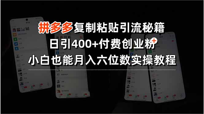 拼多多复制粘贴引流秘籍,日引400+付费创业粉,小白也能月入六位数实操…-网创资源站