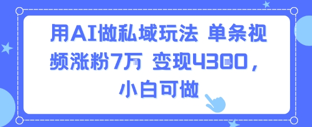 用AI做私域玩法，单条视频涨粉7W变现4.3k，小白可做-网创资源站