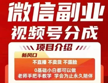 微信副业视频号分成,不直播 不卖货 不露脸,三五分钟即可完成一条作,每日收益几十、几张不等-网创资源站