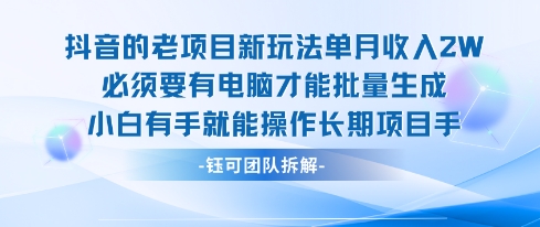 老项目新玩法单月收入2W小白有手就能操作长期项目-网创资源站
