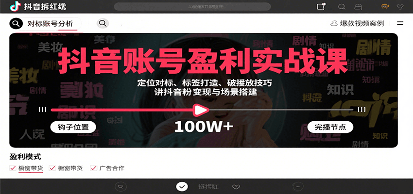抖音账号盈利实战课,定位对标、标签打造、破播放技巧,讲涨粉变现与场景搭建-网创资源站