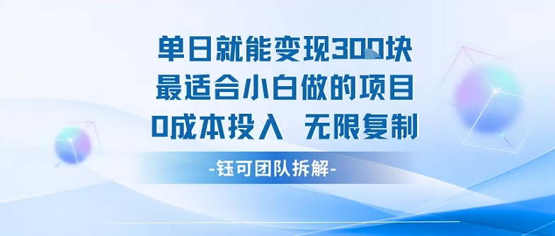 单日就能变现3张最适合小白做的项目0成本投入 无限复制-网创资源站