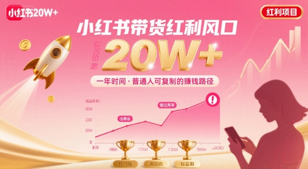 一年时间靠小红书带货项目年入20w+,最不能错的大红利项目-网创资源站