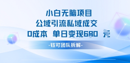 小白无脑项目公域引流私域成交0成本单日变现680米-网创资源站