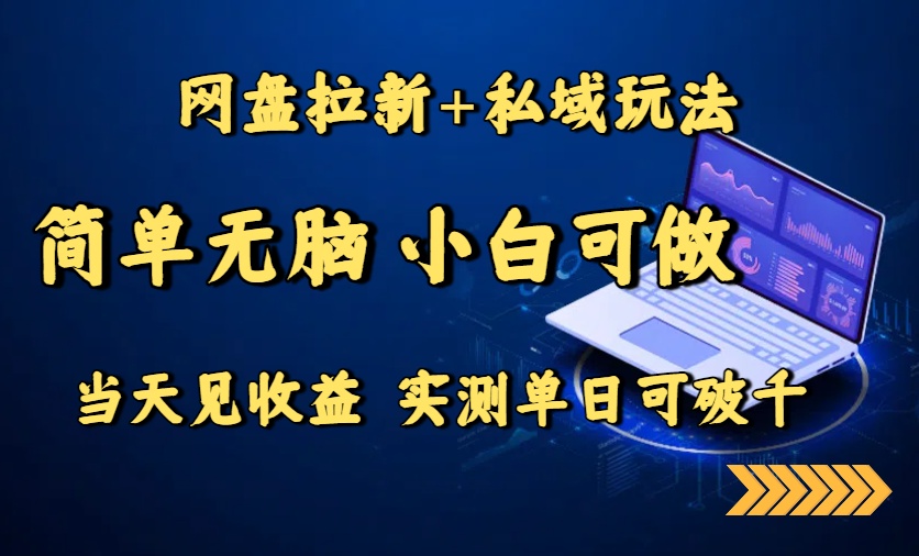 网盘拉新+私域玩法，简单无脑，小白可做，当天见收益，实测单日可破千-网创资源站