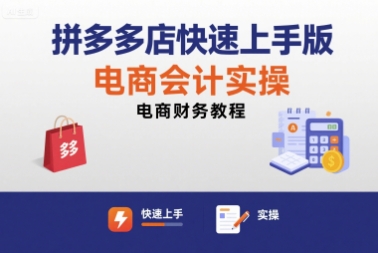 拼多多店快速上手版电商会计实操-电商财务教程-网创资源站