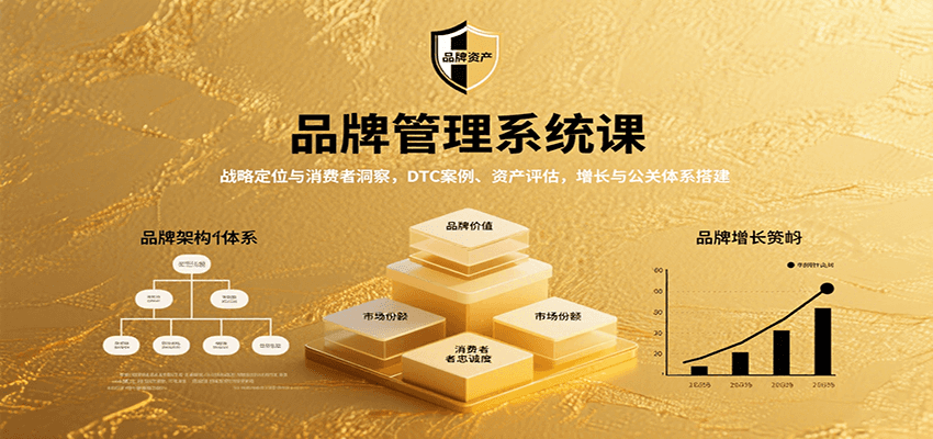 品牌管理系统课：战略定位与消费者洞察，DTC案例、资产评估，增长与公关体系搭建-网创资源站
