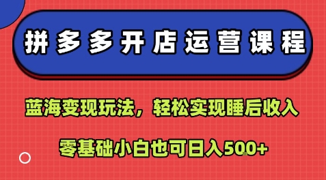 拼多多开店运营课程:蓝海变现玩法,轻松实现睡后收入,零基础小白也可日入5张-网创资源站