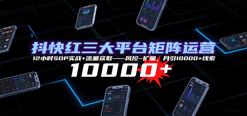 抖快红三大平台矩阵运营,12小时SOP实战+流量获取-风控-扩量,月引10000+线索-网创资源站