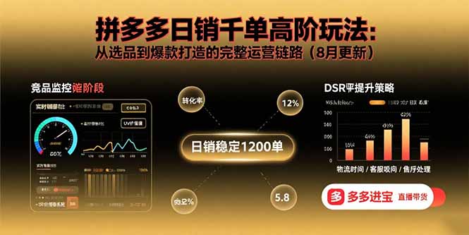 拼多多日销千单高阶玩法:从选品到爆款打造的完整运营链路(8月更新-网创资源站