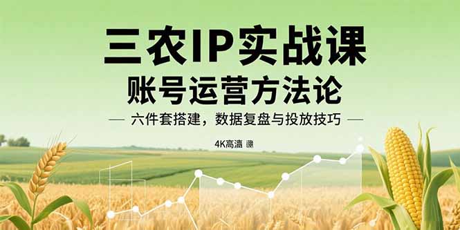 三农IP实战课:账号运营方法论,六件套搭建,数据复盘与投放技巧-网创资源站
